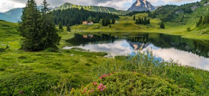 Regioni dell’Austria